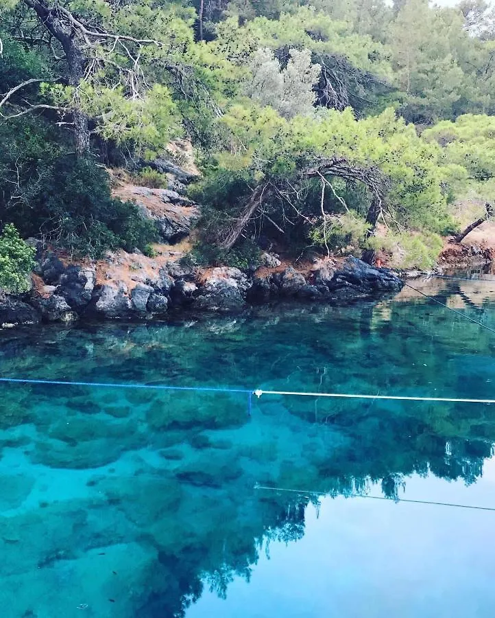 Villa Gocek Гёчек